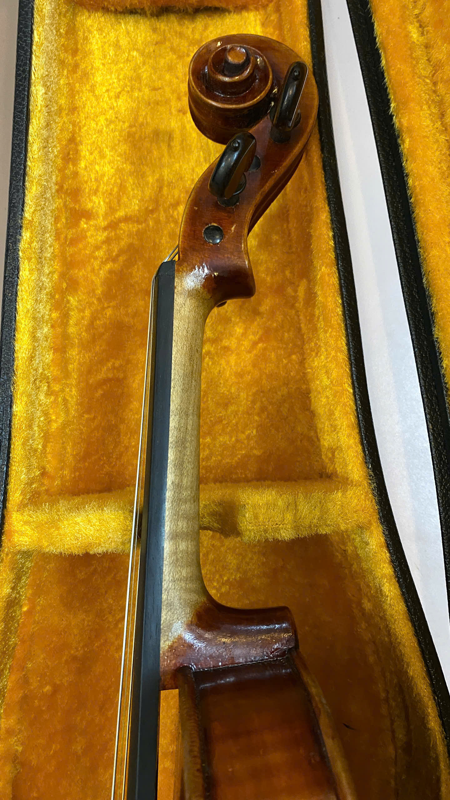 z6397045298724_15ae73167e86cd6a7d80c9878d48ec76.jpg