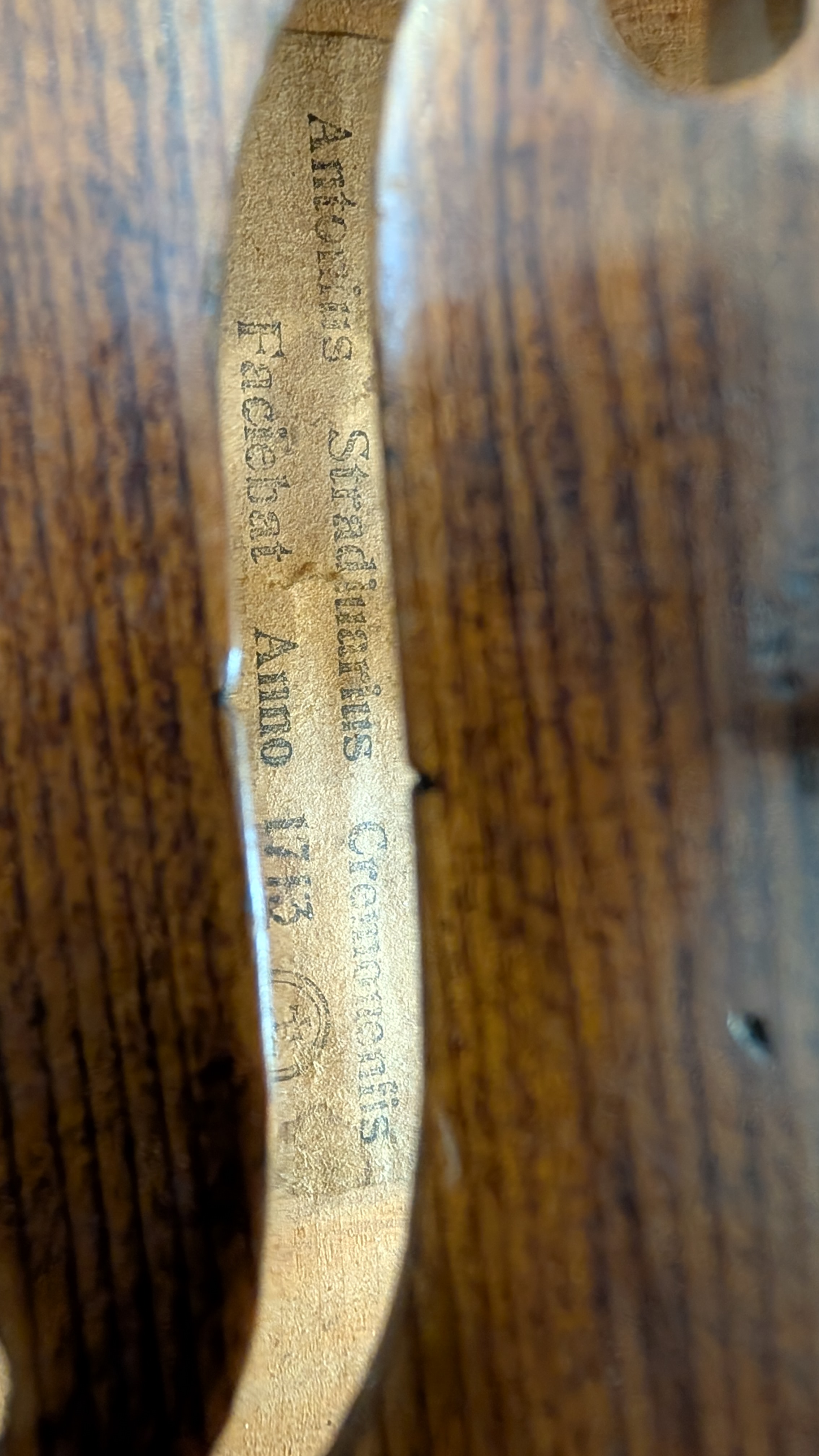 PXL_20251202_110711511.jpg