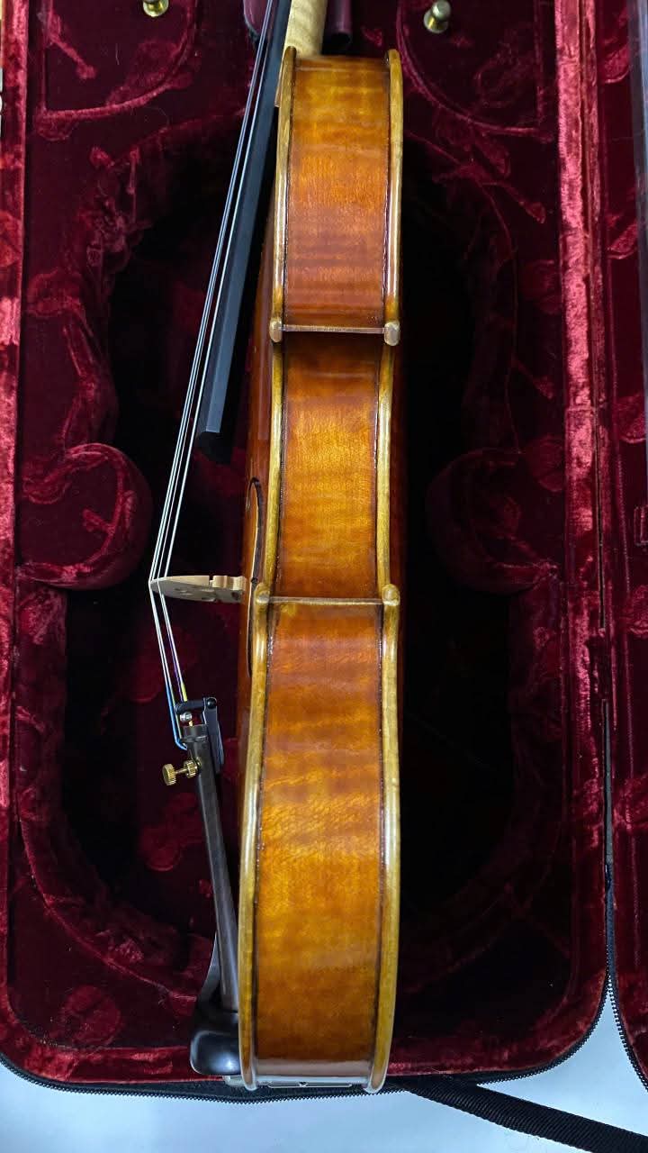 FB_IMG_1778444440990.jpg